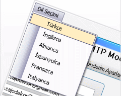 5 Dilde Mail Gönderim Programı 