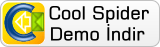 Cool Spider Demo